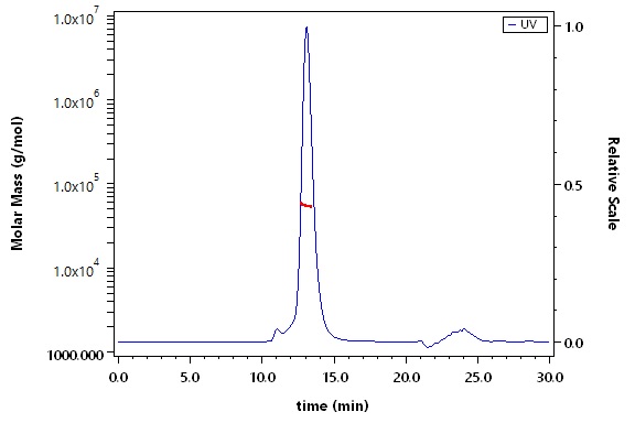 Glycoprotein C/gC (HSV) SEC-MALS
