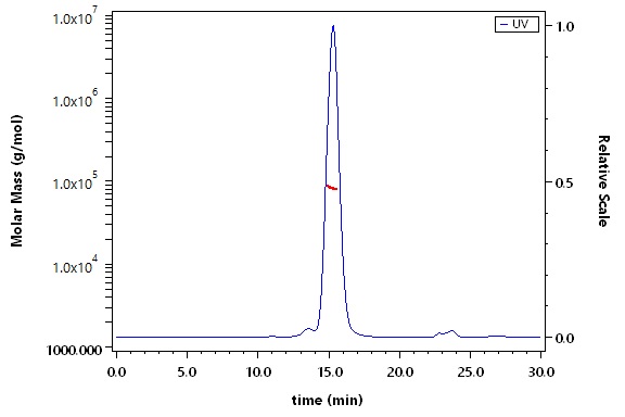 Glycoprotein G (NiV) SEC-MALS