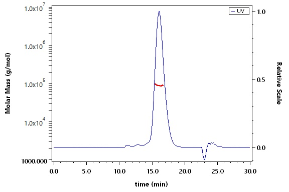 Glycoprotein SEC-MALS