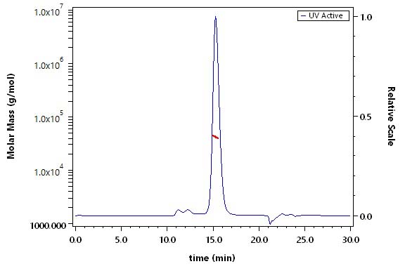 Gn protein SEC-MALS