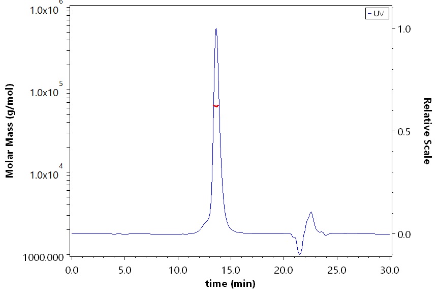 Glypican 2 SEC-MALS