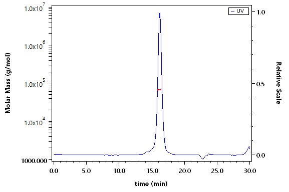 Glypican 3 SEC-MALS