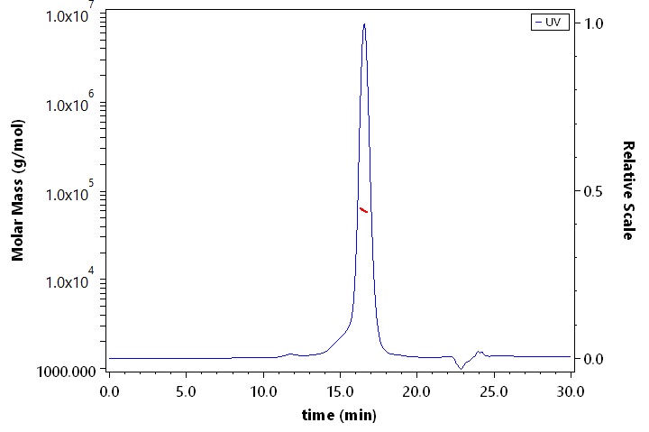 Glypican 4 SEC-MALS