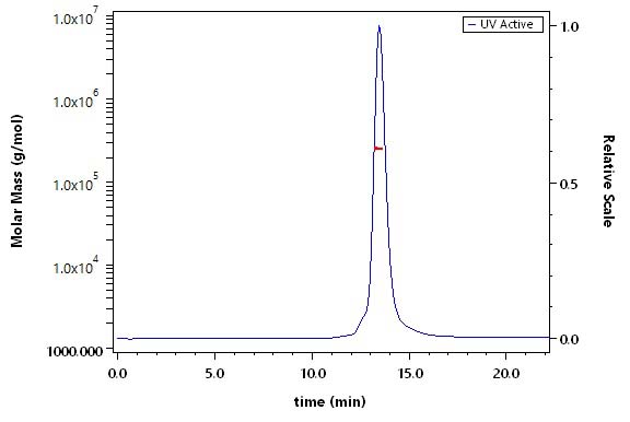 Hemagglutinin/HA (Influenza Virus) SEC-MALS
