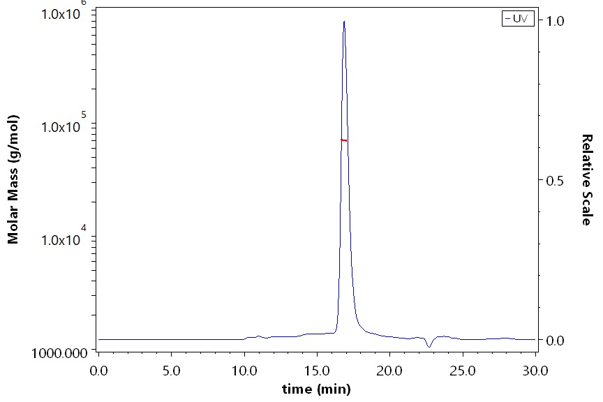 Serum Albumin SEC-MALS