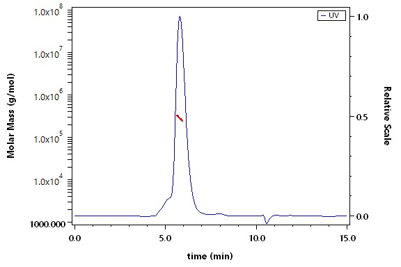 HLA-A*02:01 & B2M & NY-ESO-1 (SLLMWITQC) SEC-MALS