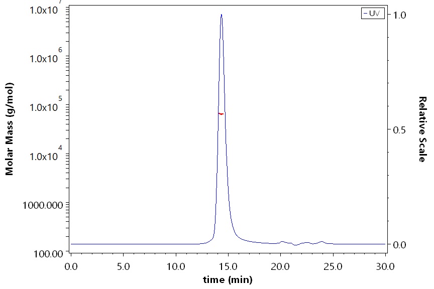 HLA-A*1101 & B2M & HPV16-E7 (IVCPICSQK) SEC-MALS