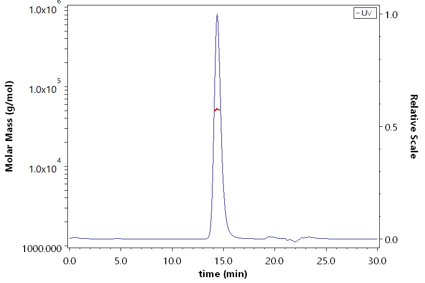 HLA-A*0201 & B2M & EBV EBNA (FMVFLQTHI) SEC-MALS