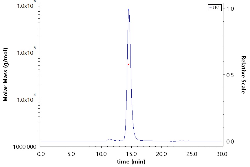HLA-A*2402 & B2M & EBV EBNA3B (TYSAGIVQI) SEC-MALS