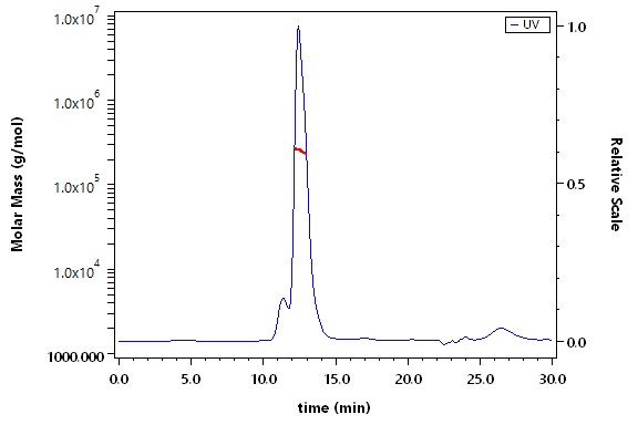 HLA-G & B2M & Peptide (RIIPRHLQL) SEC-MALS