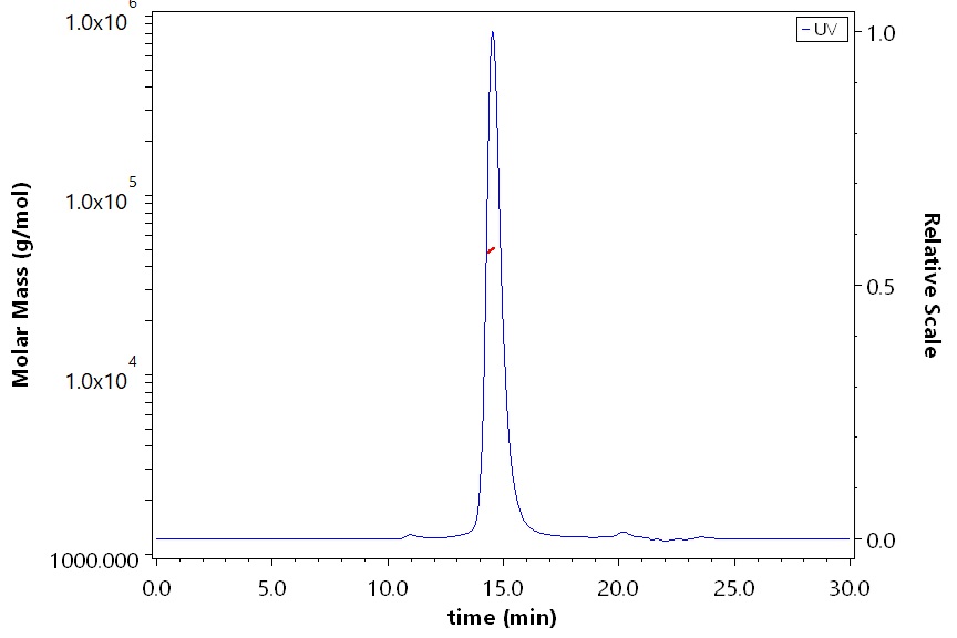 HLA-A*2402 & B2M SEC-MALS