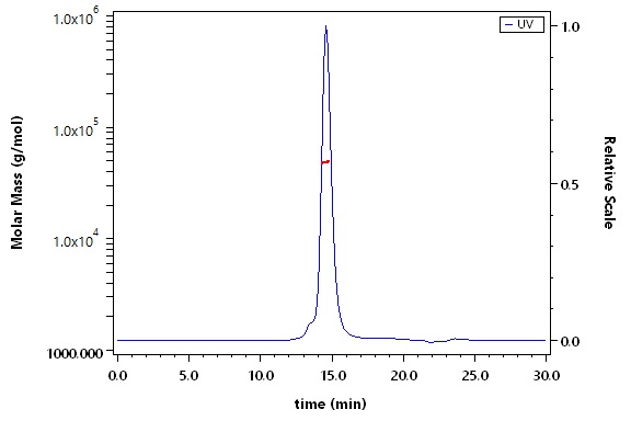 HLA-A*1101 & B2M SEC-MALS