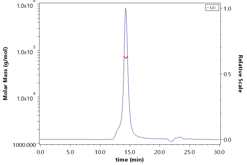 HLA-A*3303 & B2M SEC-MALS