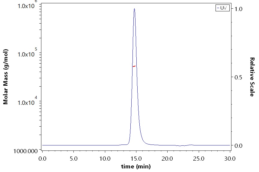 HLA-A*0201 & B2M & HPV (TIHDIILECV) SEC-MALS