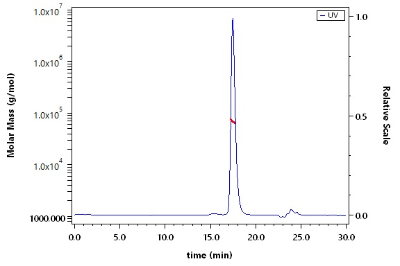 Serum Albumin SEC-MALS