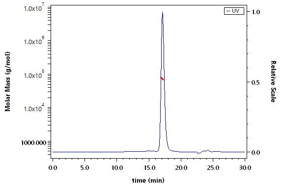 Serum Albumin SEC-MALS