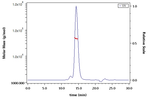 IFN-alpha/beta R1 SEC-MALS