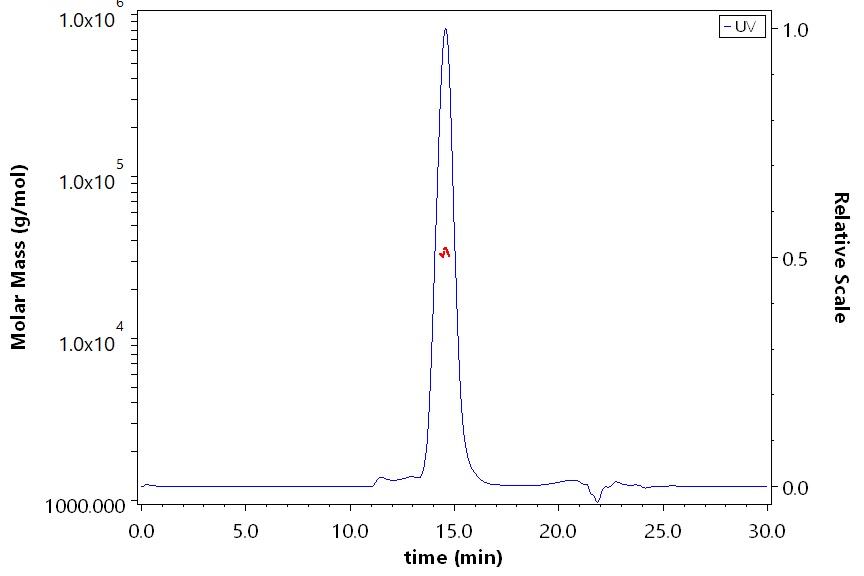 IFN-alpha/beta R1 SEC-MALS