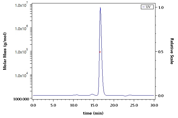 IFN-alpha 1 SEC-MALS