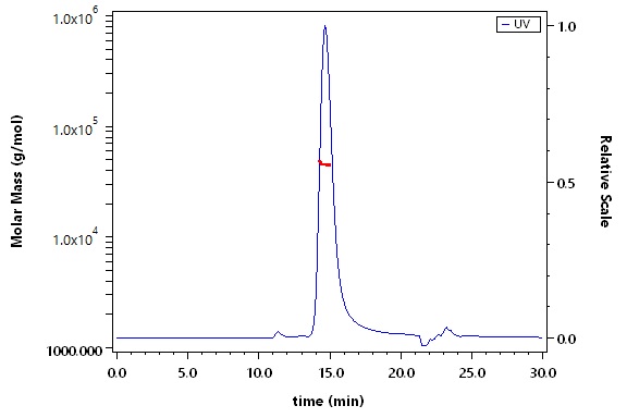 IFN-gamma SEC-MALS