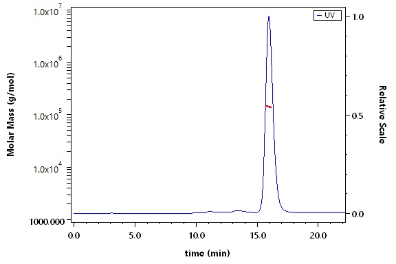 IFN-gamma SEC-MALS