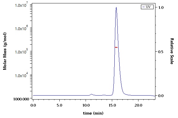 IFN-gamma SEC-MALS