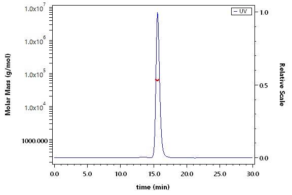 IgG4 Fc SEC-MALS