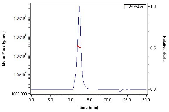Insulin R SEC-MALS