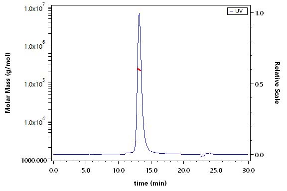 Integrin alpha 5 beta 1 SEC-MALS