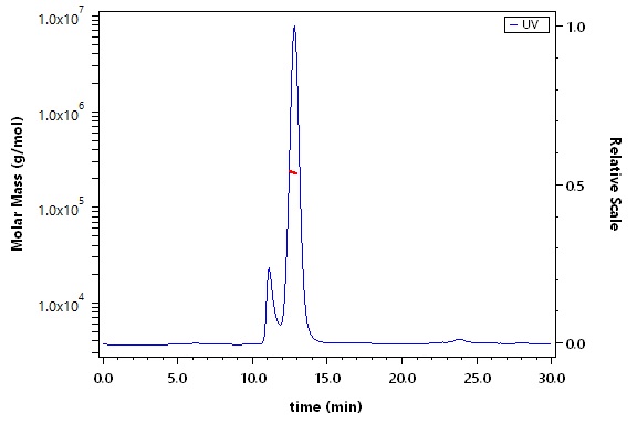 Integrin alpha V beta 1 SEC-MALS