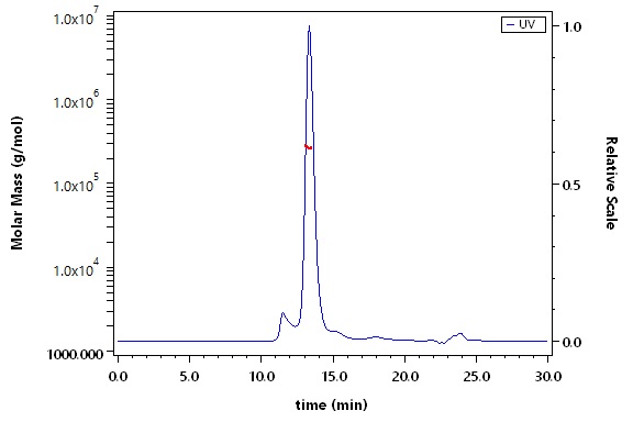 Integrin alpha M beta 2 SEC-MALS