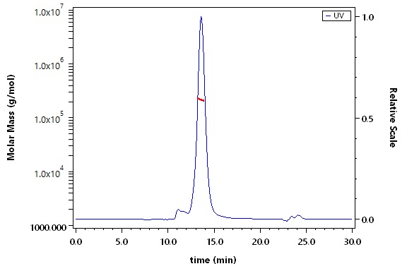 Integrin alpha V beta 6 SEC-MALS