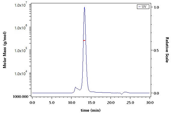 Integrin alpha V beta 6 SEC-MALS