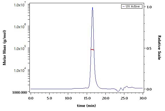 Plasma Kallikrein/KLKB1 SEC-MALS