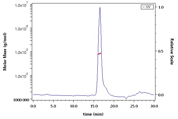 Plasma Kallikrein/KLKB1 SEC-MALS
