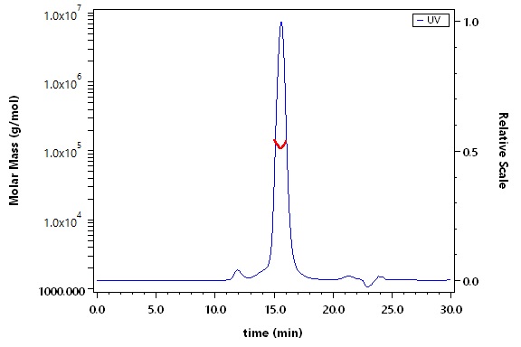 LAP (TGF-beta 1) SEC-MALS