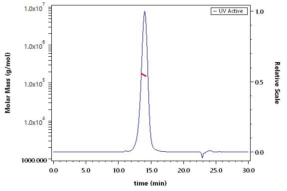 LRP-1 SEC-MALS