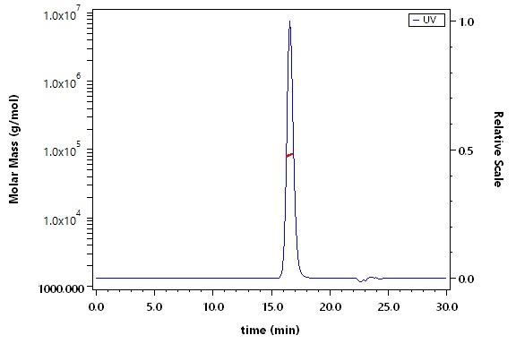 Melanotransferrin SEC-MALS