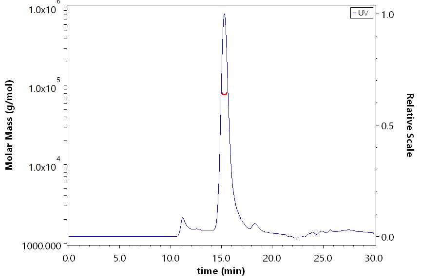 MMP-1 SEC-MALS