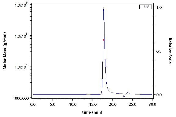 Serum Albumin SEC-MALS