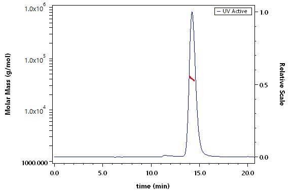 Mesothelin SEC-MALS