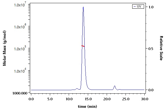 Mesothelin SEC-MALS