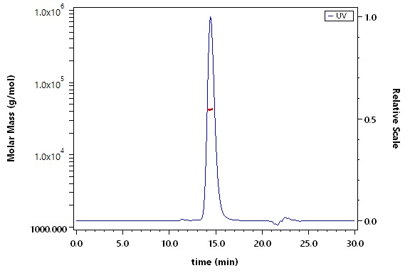Mesothelin SEC-MALS