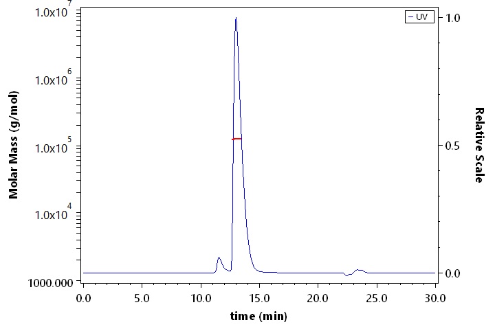 NCAM-1 SEC-MALS