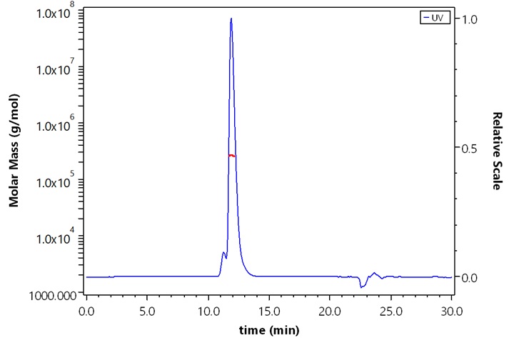 NCAM-1 SEC-MALS