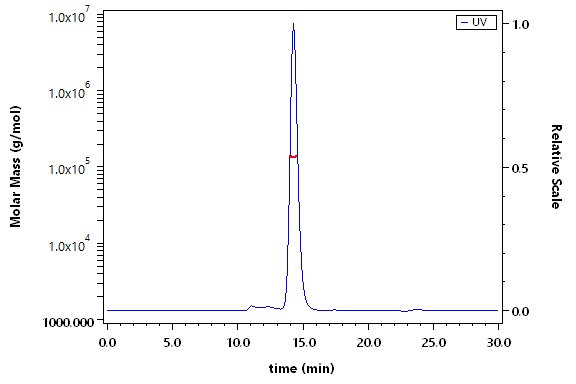 NKG2A & CD94 SEC-MALS