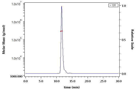 Netrin receptor DCC SEC-MALS