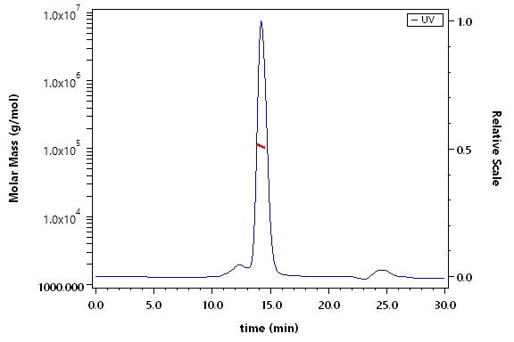 Neuropilin-2 SEC-MALS