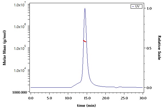 Non-structural protein 1/NS1 (DENV) SEC-MALS
