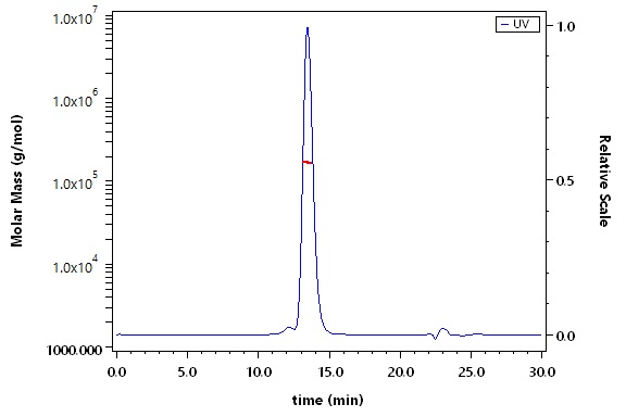OX40 Ligand SEC-MALS